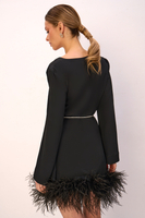PLUME MINI DRESS WITH SPARKLING BELT AND FEATHERS IN NOIR 
