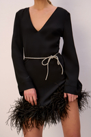 PLUME MINI DRESS WITH SPARKLING BELT AND FEATHERS IN NOIR 